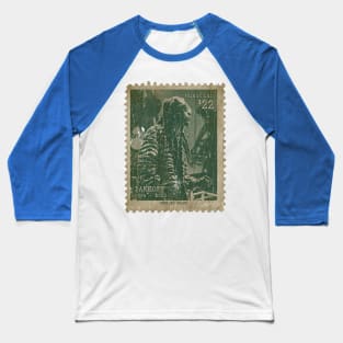 Engraved Vintage texture Baseball T-Shirt